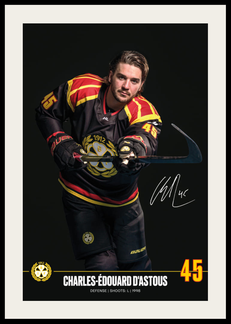 Charles-Édouard D'Astous #45 Brynäs IF 2024/2025-12