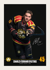 Charles-Édouard D'Astous #45 Brynäs IF 2024/2025-3