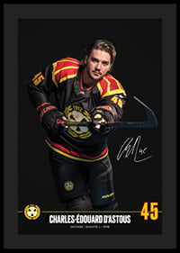Charles-Édouard D'Astous #45 Brynäs IF 2024/2025-4