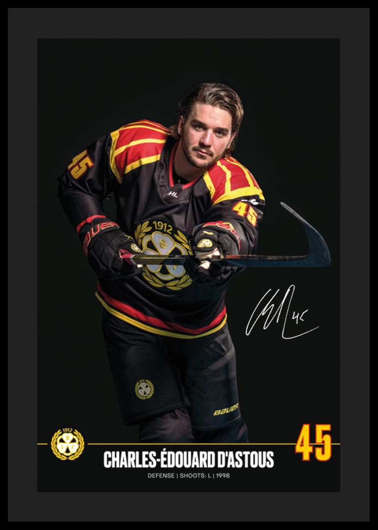 Charles-Édouard D'Astous #45 Brynäs IF 2024/2025-12
