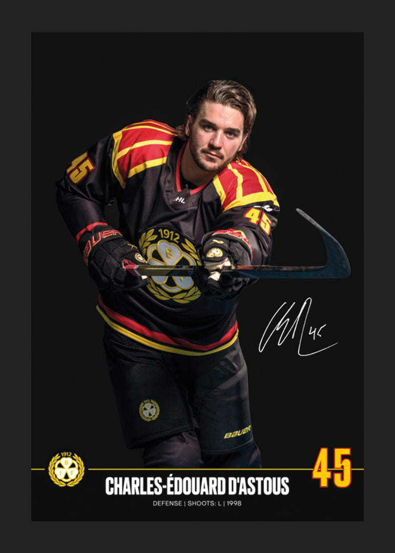Charles-Édouard D'Astous #45 Brynäs IF 2024/2025-12