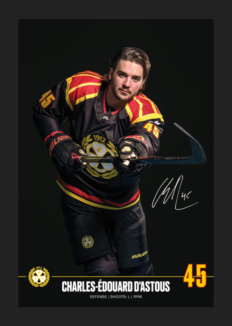 Charles-Édouard D'Astous #45 Brynäs IF 2024/2025-12