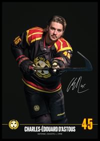Charles-Édouard D'Astous #45 Brynäs IF 2024/2025-2