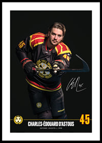 Charles-Édouard D'Astous #45 Brynäs IF 2024/2025-0
