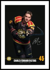 Charles-Édouard D'Astous #45 Brynäs IF 2024/2025-0