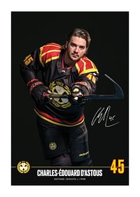 Charles-Édouard D'Astous #45 Brynäs IF 2024/2025-1