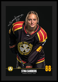 Stina Sandberg #88 Brynäs IF 2024/2025-4