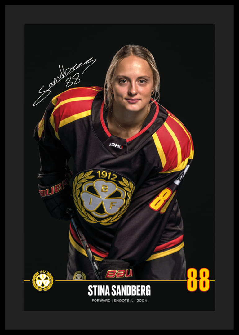 Stina Sandberg #88 Brynäs IF 2024/2025-12