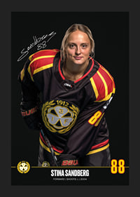 Stina Sandberg #88 Brynäs IF 2024/2025-5