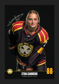 Stina Sandberg #88 Brynäs IF 2024/2025-5