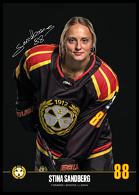 Stina Sandberg #88 Brynäs IF 2024/2025-6
