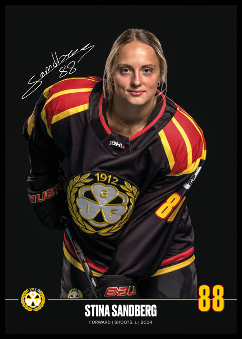 Stina Sandberg #88 Brynäs IF 2024/2025-12