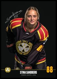 Stina Sandberg #88 Brynäs IF 2024/2025-2