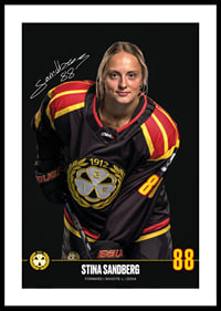 Stina Sandberg #88 Brynäs IF 2024/2025-0