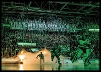 Tifo Mot  Malmö 2024 Rögle BK-2