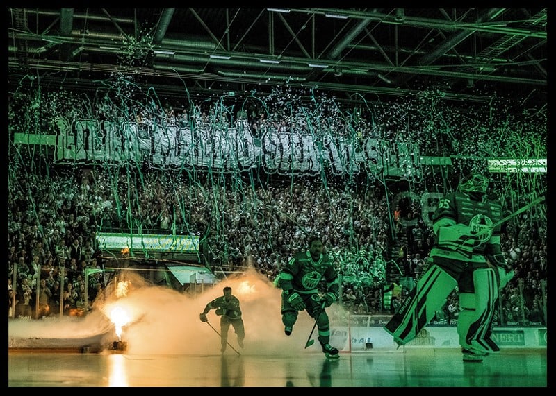 Tifo Mot  Malmö 2024 Rögle BK-12