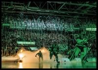 Tifo Mot  Malmö 2024 Rögle BK-2