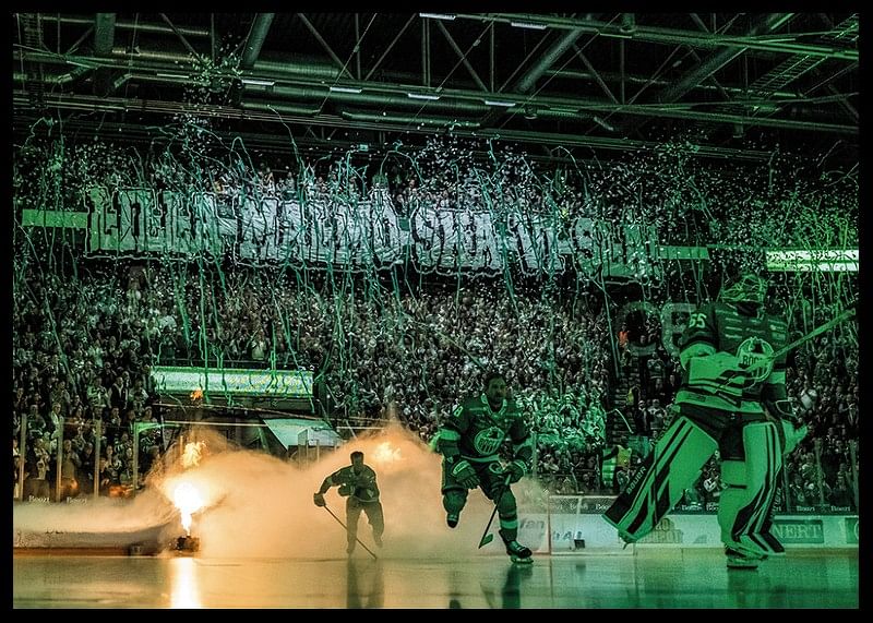Tifo Mot  Malmö 2024 Rögle BK-12