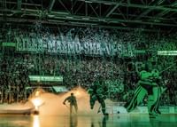 Tifo Mot  Malmö 2024 Rögle BK-3
