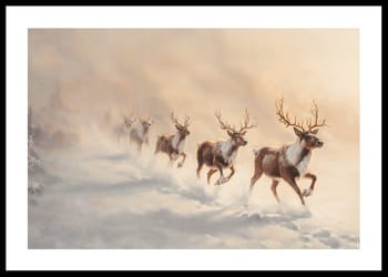 Poster Journey Of The Winter Reindeer