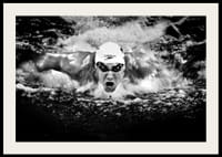 Michael Phelps 2011-2