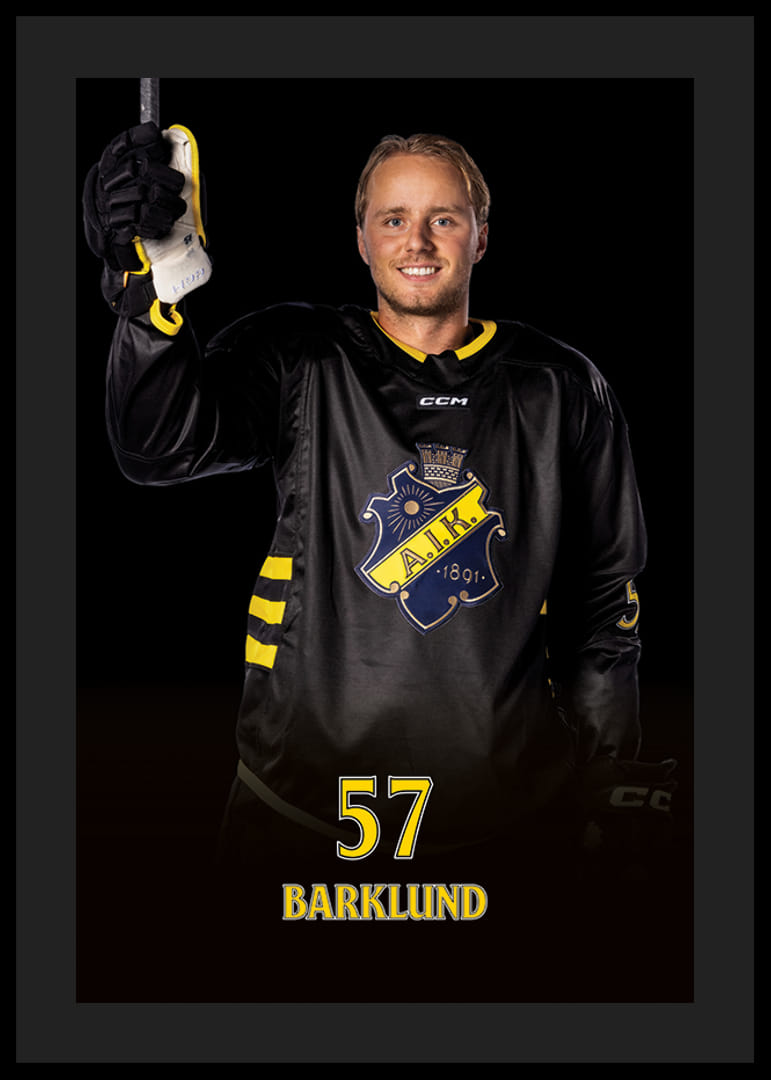 Alfred Barklund #57 AIK Hockey 2024/2025-12