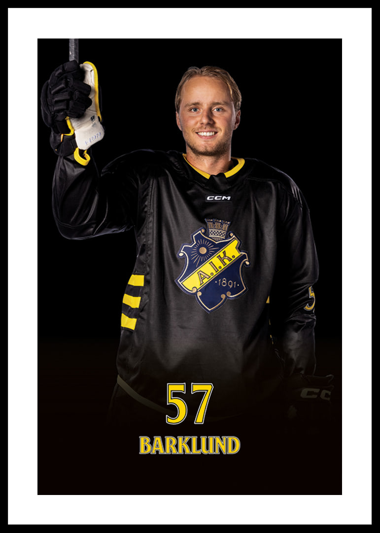 Alfred Barklund #57 AIK Hockey 2024/2025-12