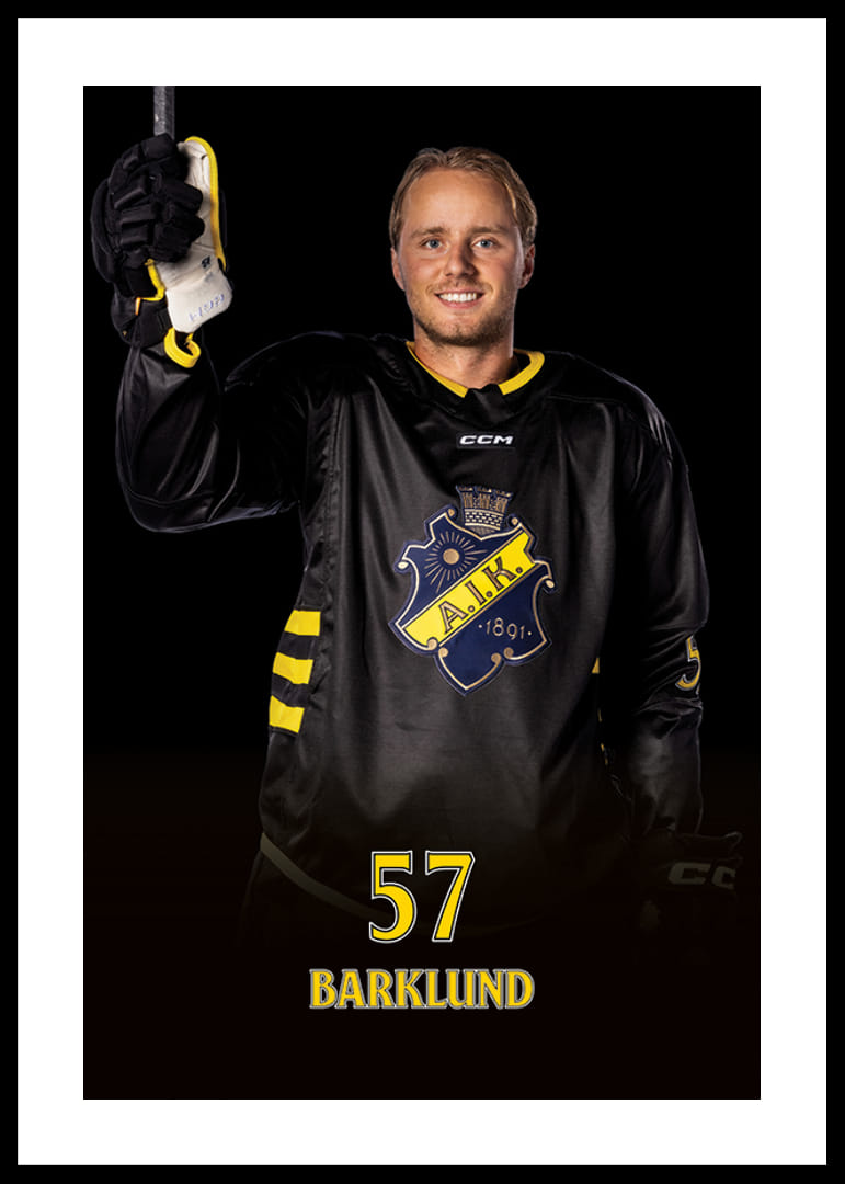 Alfred Barklund #57 AIK Hockey 2024/2025-12