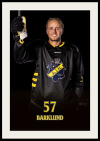 Alfred Barklund #57 AIK Hockey 2024/2025-4