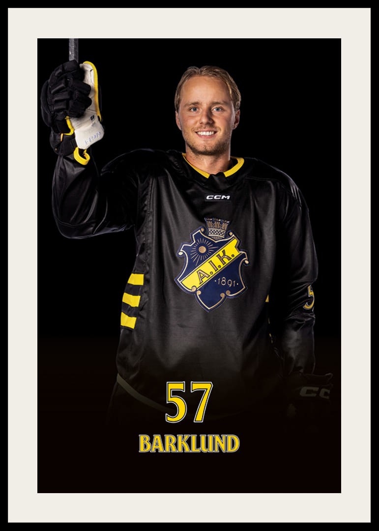 Alfred Barklund #57 AIK Hockey 2024/2025-12