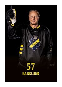 Alfred Barklund #57 AIK Hockey 2024/2025-1