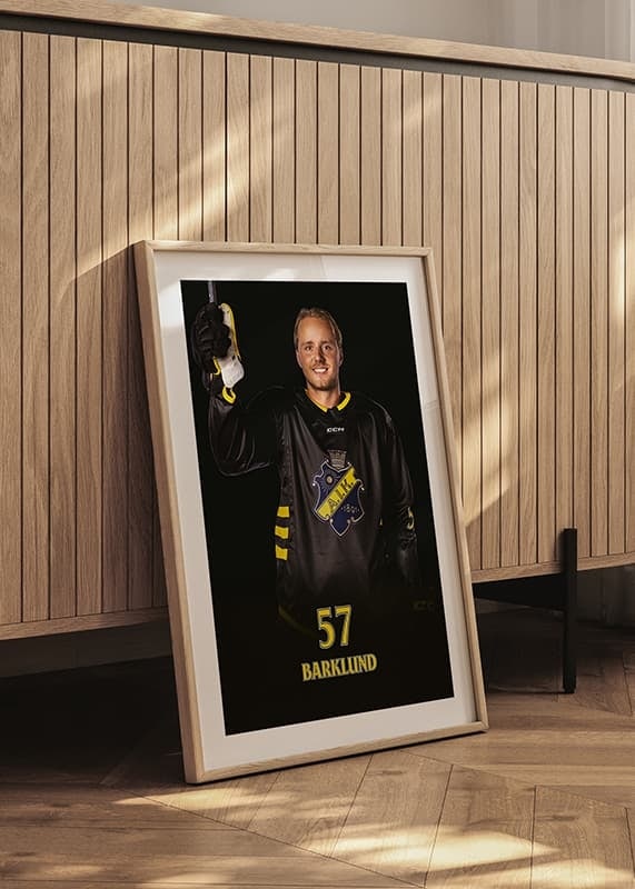Alfred Barklund #57 AIK Hockey 2024/2025-12