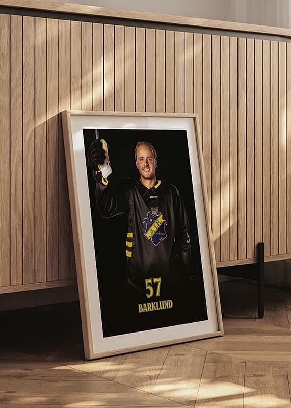 Alfred Barklund #57 AIK Hockey 2024/2025-12