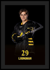 Daniel Ljungman #29 AIK Hockey 2024/2025-0