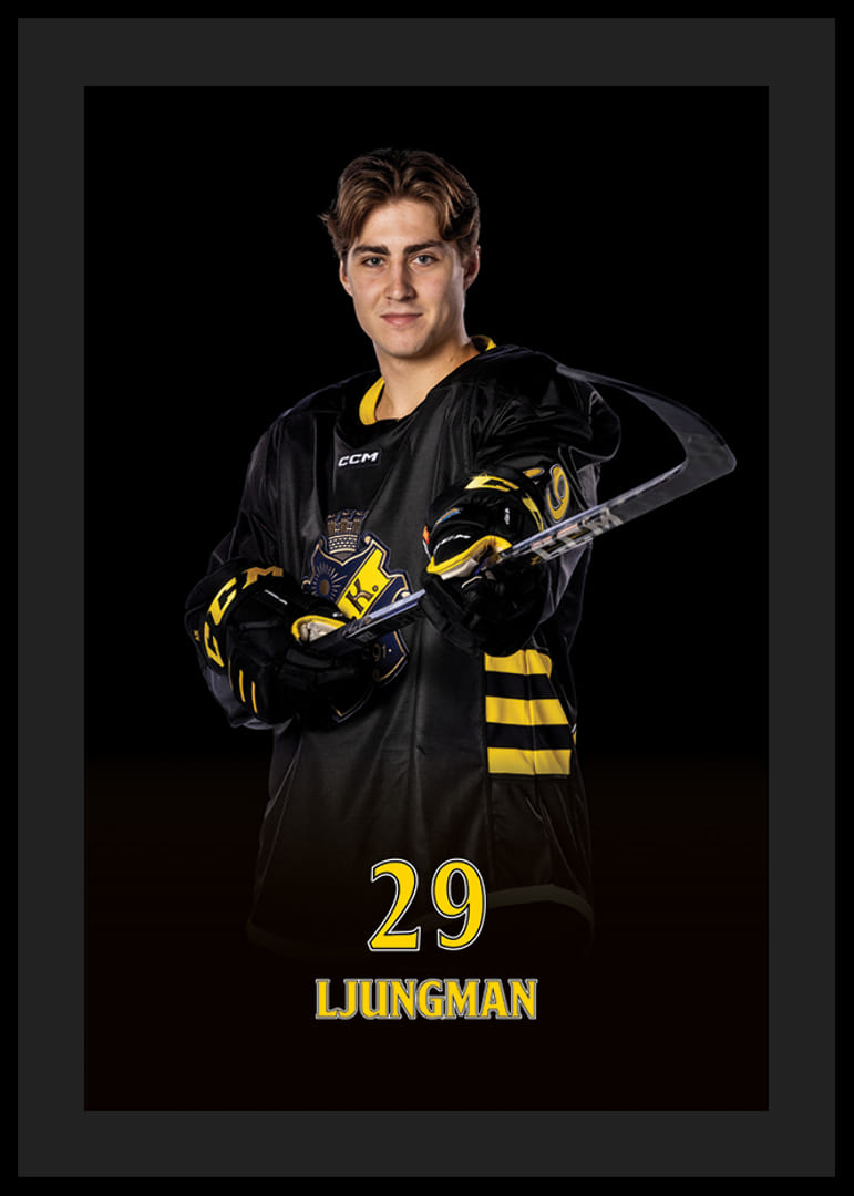 Daniel Ljungman #29 AIK Hockey 2024/2025-12