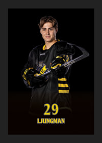 Daniel Ljungman #29 AIK Hockey 2024/2025-1