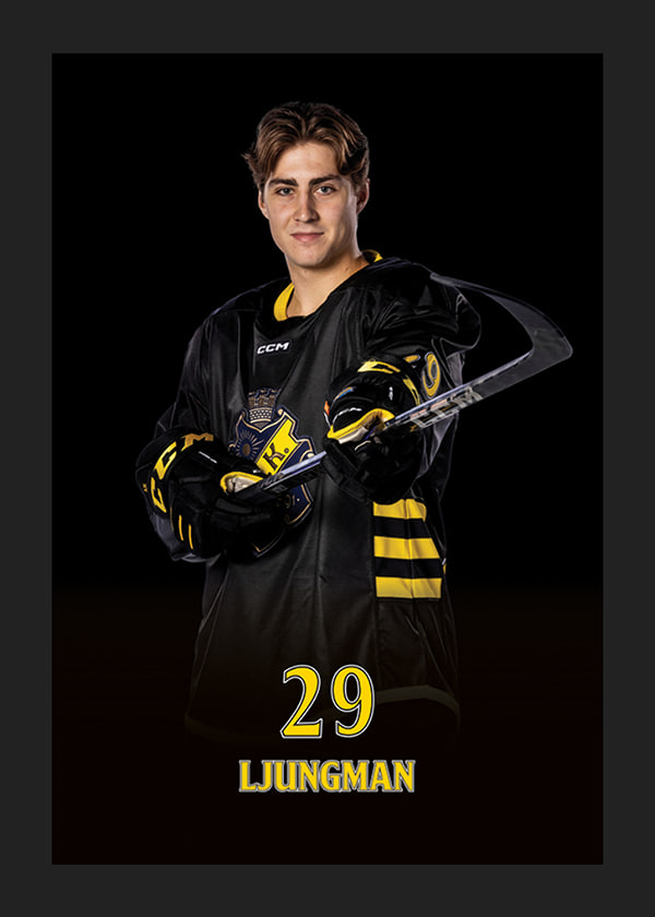 Poster Daniel Ljungman #29 AIK Hockey 2024/2025