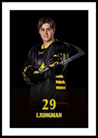 Daniel Ljungman #29 AIK Hockey 2024/2025-2