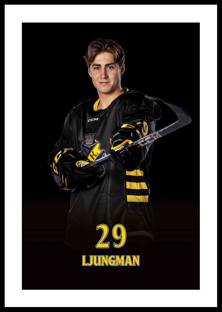 Daniel Ljungman #29 AIK Hockey 2024/2025-12