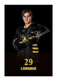 Daniel Ljungman #29 AIK Hockey 2024/2025-3