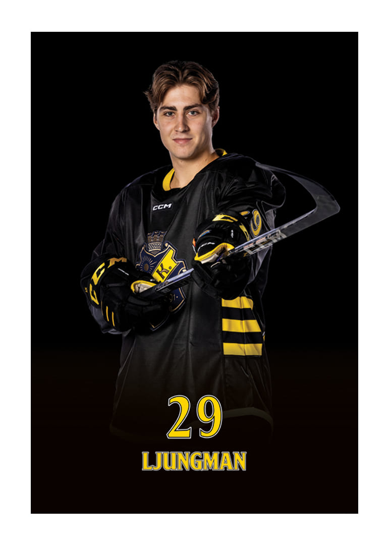 Daniel Ljungman #29 AIK Hockey 2024/2025-12