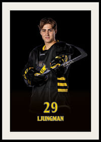 Daniel Ljungman #29 AIK Hockey 2024/2025-4