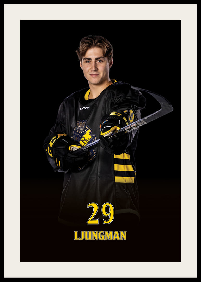 Daniel Ljungman #29 AIK Hockey 2024/2025-12