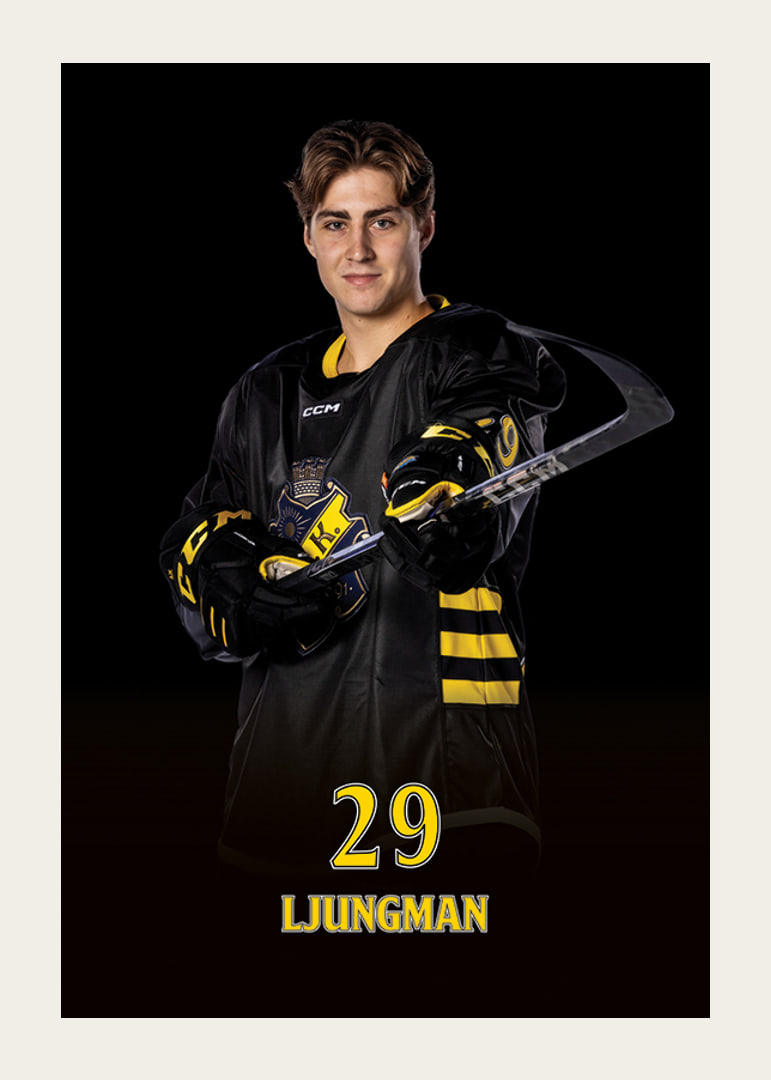 Daniel Ljungman #29 AIK Hockey 2024/2025-12
