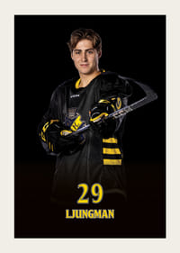 Daniel Ljungman #29 AIK Hockey 2024/2025-5