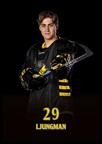 Daniel Ljungman #29 AIK Hockey 2024/2025-6