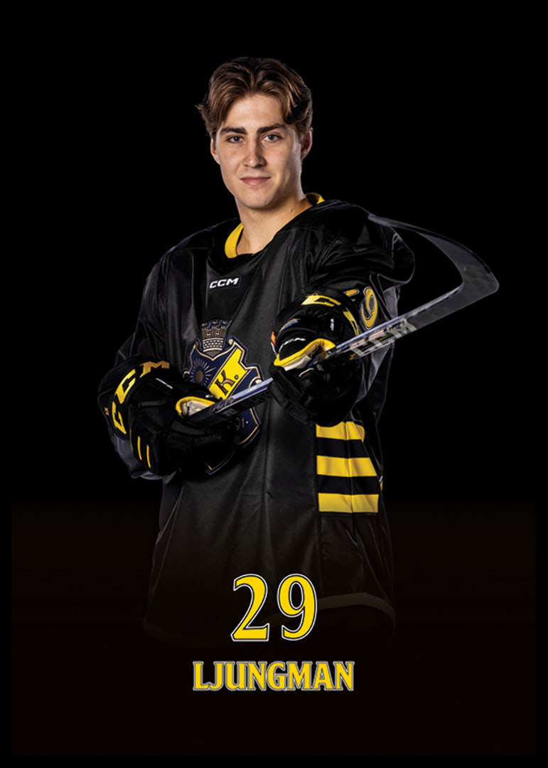 Daniel Ljungman #29 AIK Hockey 2024/2025-12