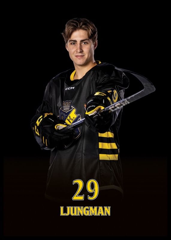 Daniel Ljungman #29 AIK Hockey 2024/2025-12