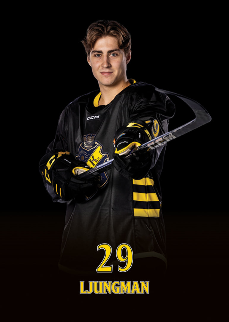 Daniel Ljungman #29 AIK Hockey 2024/2025-12