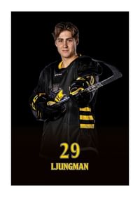 Daniel Ljungman #29 AIK Hockey 2024/2025-1